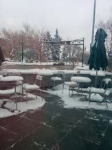 springtime in alaska