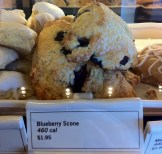 blueberry scone